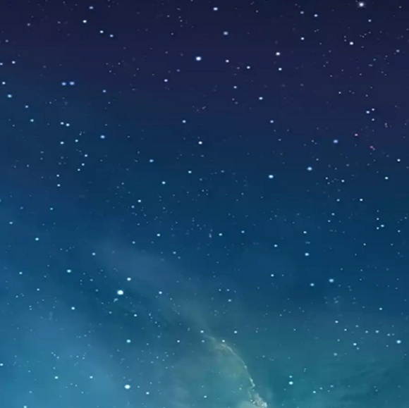 Meet your Posher, Sidney - Picture 1 of 1